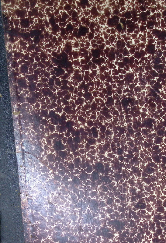 Cover GEOLOGIE DER SCHWEIZ