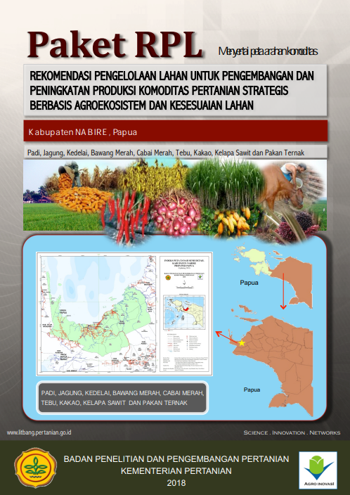 Cover Buku RPL Kabupaten Nabire