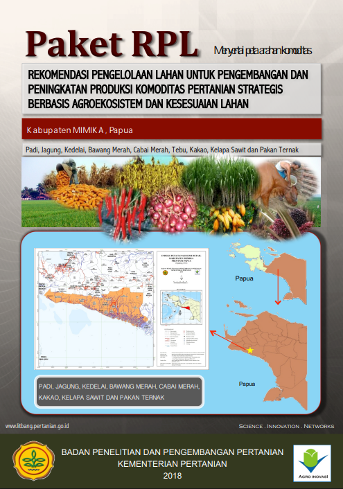 Cover Buku RPL Kabupaten Mimika