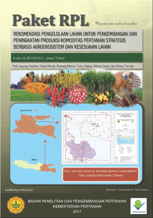 Cover Buku RPL KOTA SURABAYA