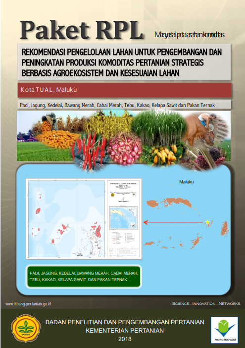 Cover Buku RPL Kota Tual