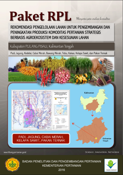 Cover Buku RPL Kab Pulang Pisau