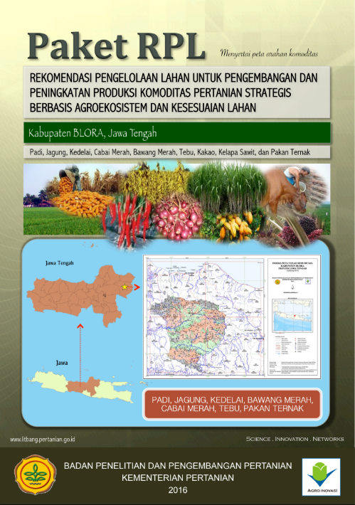 Cover Buku RPL Kab Blora