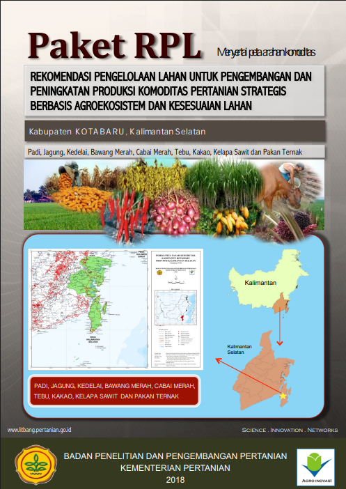 Cover Buku RPL Kotabaru