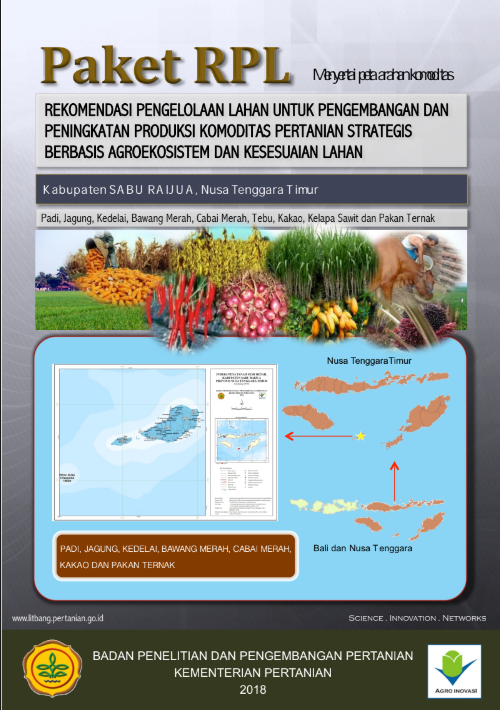 Cover Buku RPL Sabu Raijua