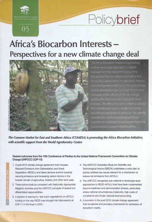 Cover AFRICA'S BIOCARBON INTERESTS - PERSPECTIVES FOR A NEW CLIMATE CHANGE DEAL