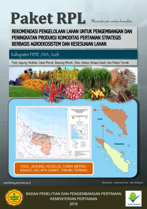 Cover Buku RPL Kabupaten PIDIE JAYA