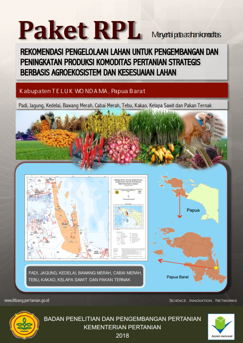 Cover Buku RPL Kabupaten Teluk Wondama