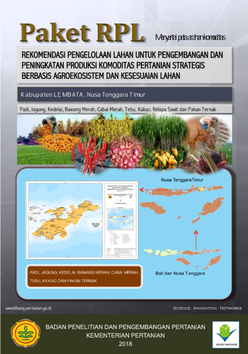 Cover Buku RPL Lembata