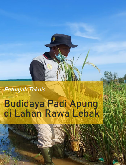 Cover Budidaya Padi Apung di Lahan Rawa Lebak