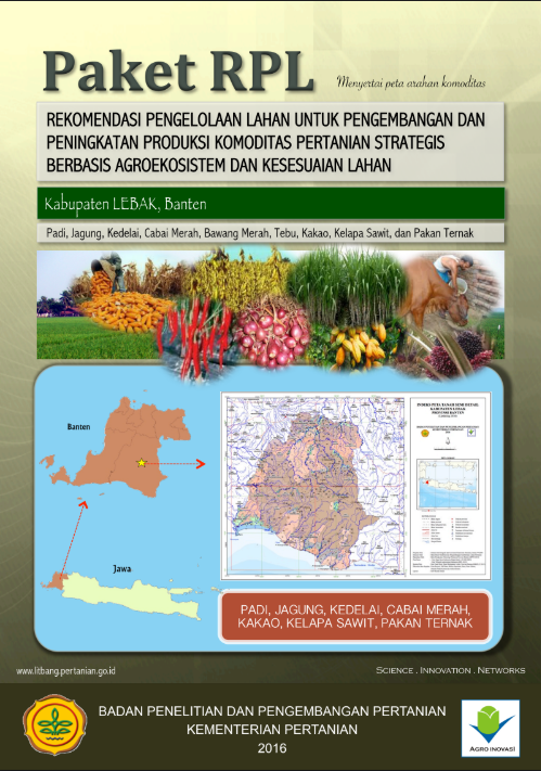 Cover Buku RPL LEBAK