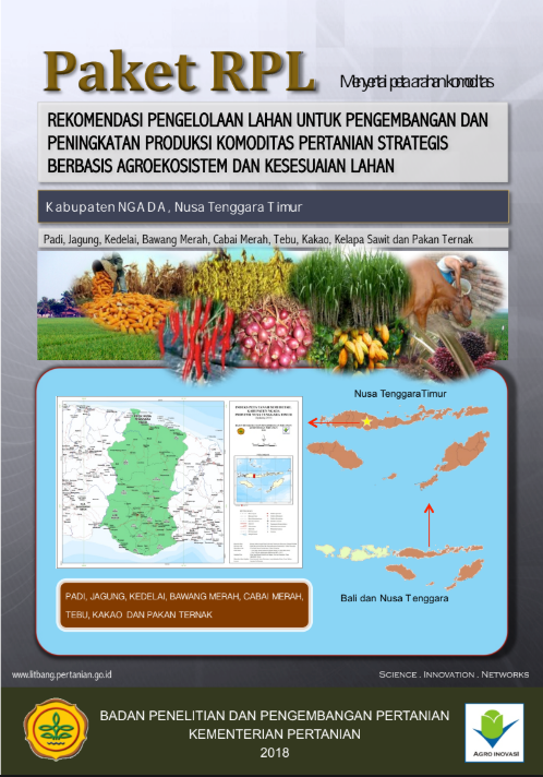 Cover Buku RPL Ngada