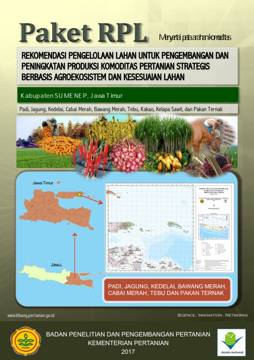 Cover Buku RPL Kabupaten Sumenep