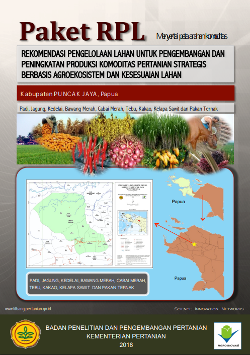 Cover Buku RPL Kabupaten Puncak Jaya