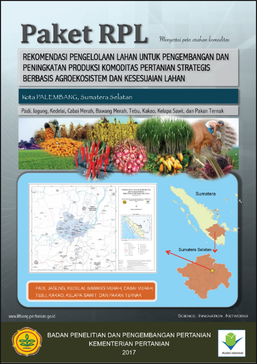 Cover BUKU RPL KOTA PALEMBANG