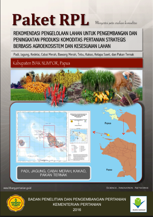 Cover Buku RPL BIAK NUMFOR