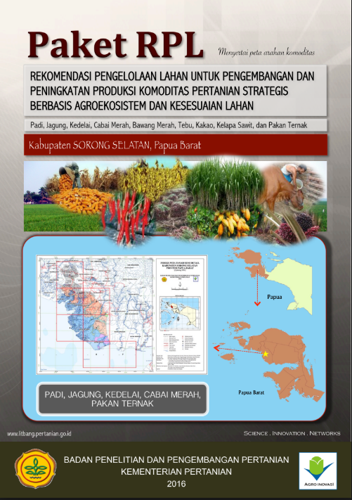 Cover Buku RPL SORONG SELATAN