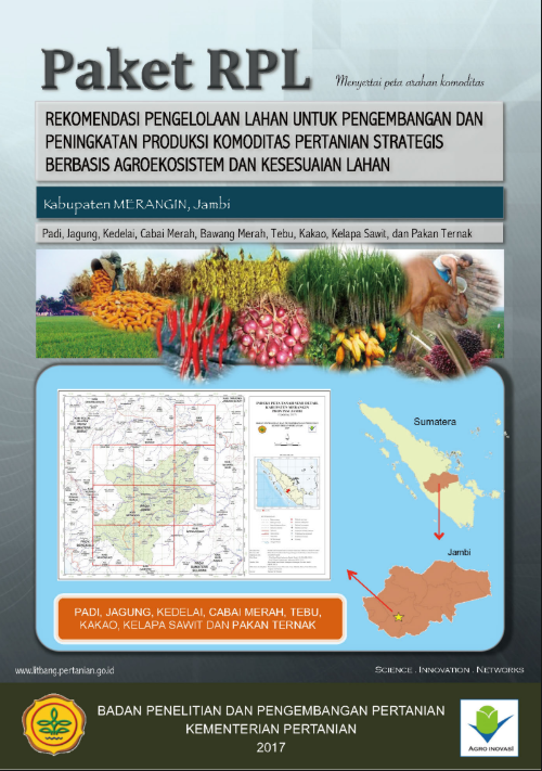 Cover Buku RPL MERANGIN