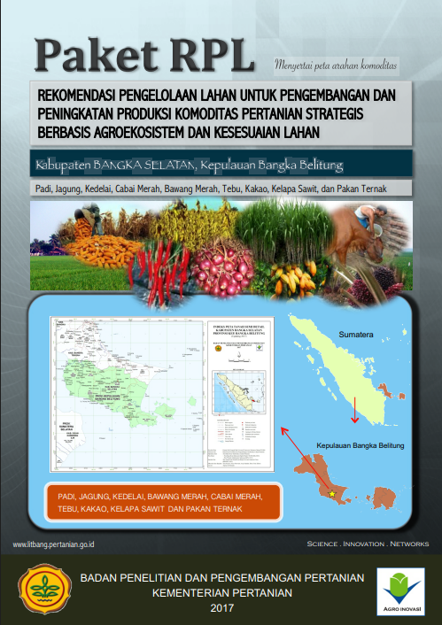 Cover Buku RPL Kabupaten Bangka Selatan