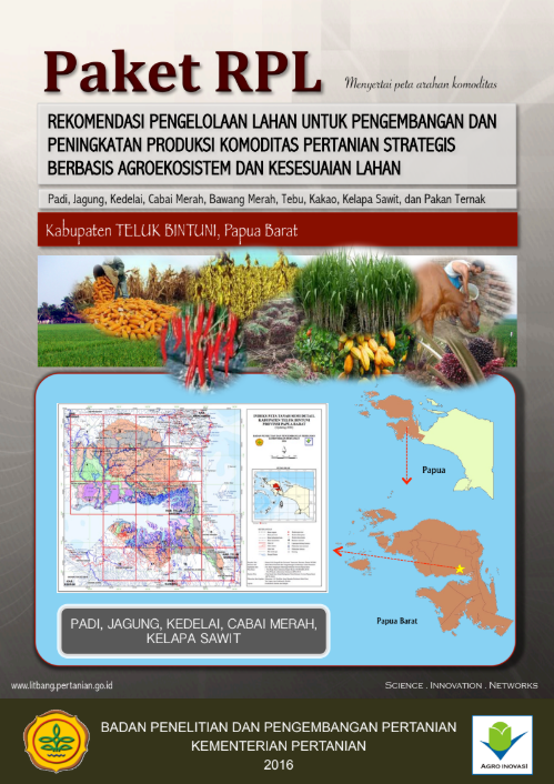 Cover Buku RPL TELUK BINTUNI