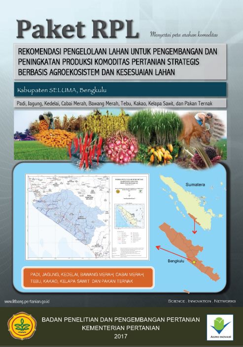 Cover BUKU RPL KABUPATEN SELUMA