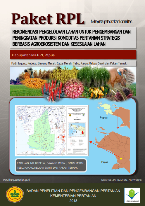 Cover Buku RPL Kabupaten Mappi