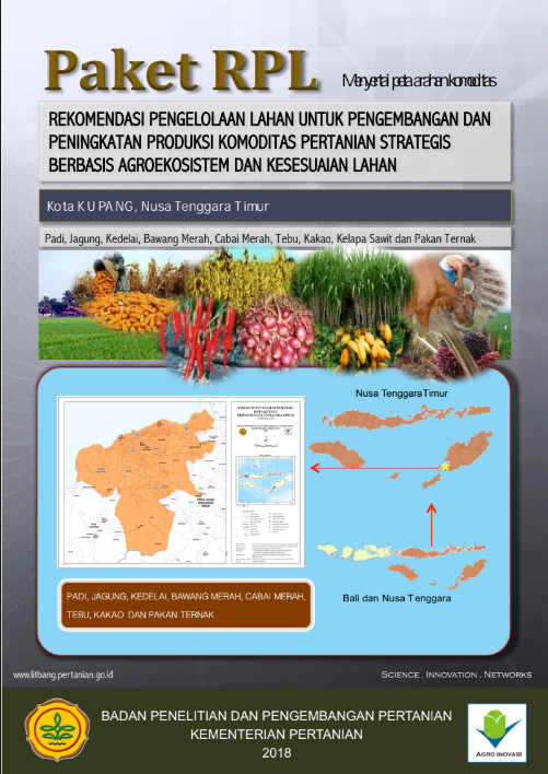 Cover Buku RPL Kota Kupang