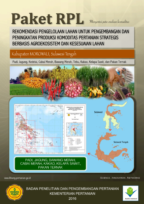 Cover Buku RPL Morowali