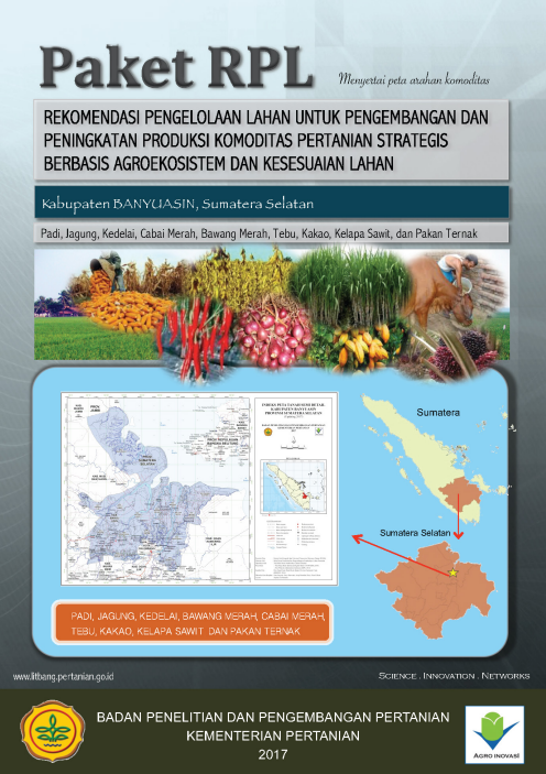 Cover BUKU RPL KABUPATEN BANYUASIN