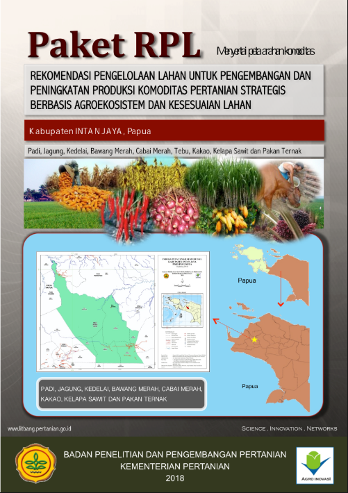 Cover Buku RPL Intan Jaya