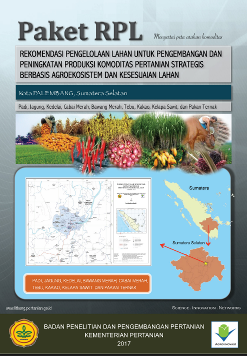 Cover BUKU RPL KOTA PALEMBANG