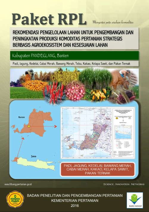 Cover Buku RPL Kab Pandeglang