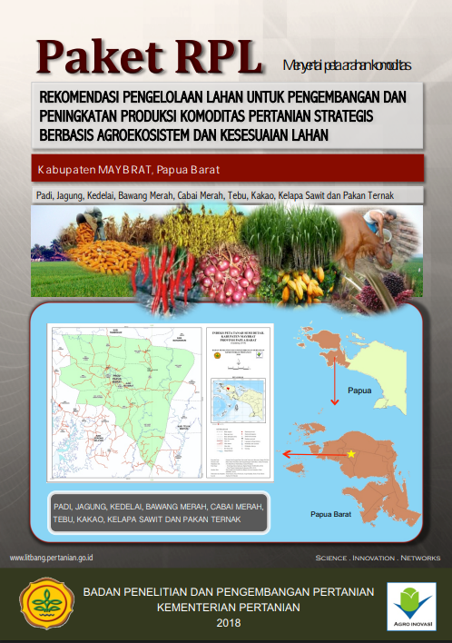 Cover Buku RPL Kabupaten Maybrat