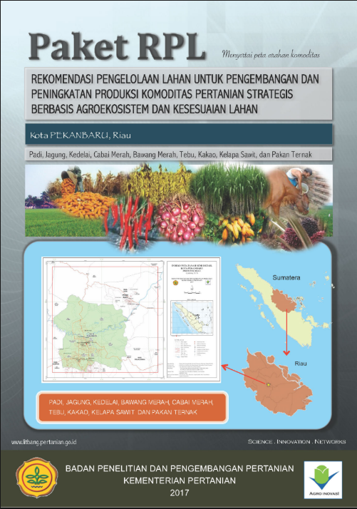 Cover Buku RPL KOTA PEKANBARU