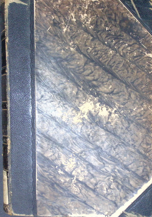 Cover ORGANISCHE CHEMIE 1905