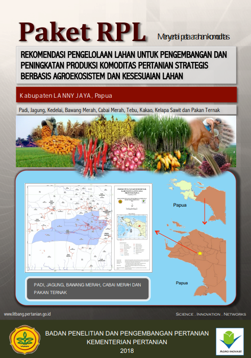 Cover Buku RPL Kabupaten Lanny Jaya