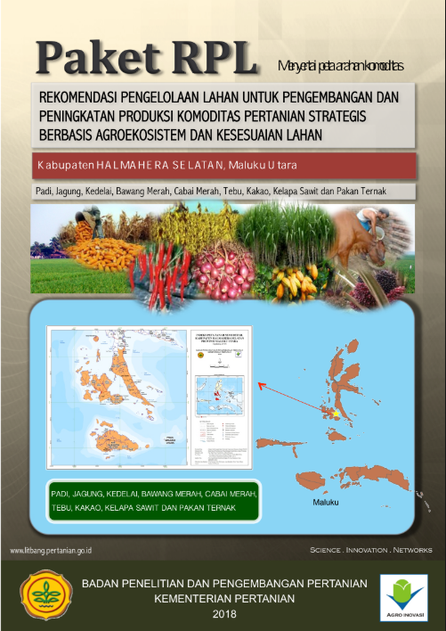Cover Buku RPL Halmahera Selatan
