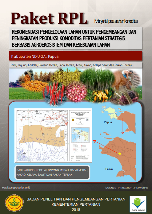 Cover Buku RPL Kabupaten Nduga