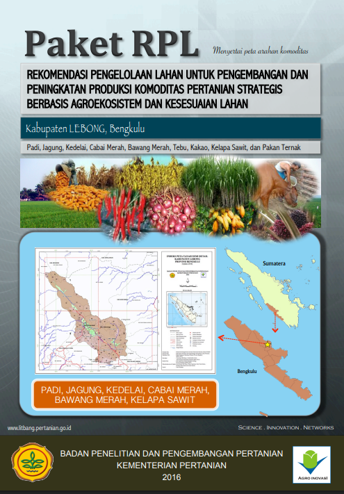 Cover Buku RPL Kabupaten LEBONG