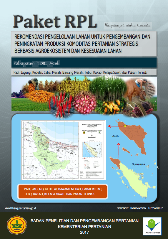 Cover Buku RPL Kab Pidie