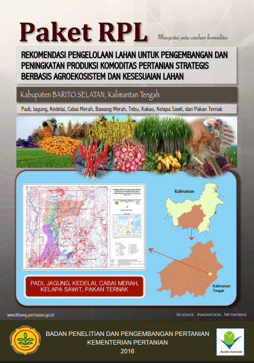 Cover Buku RPL Kab Barito Selatan