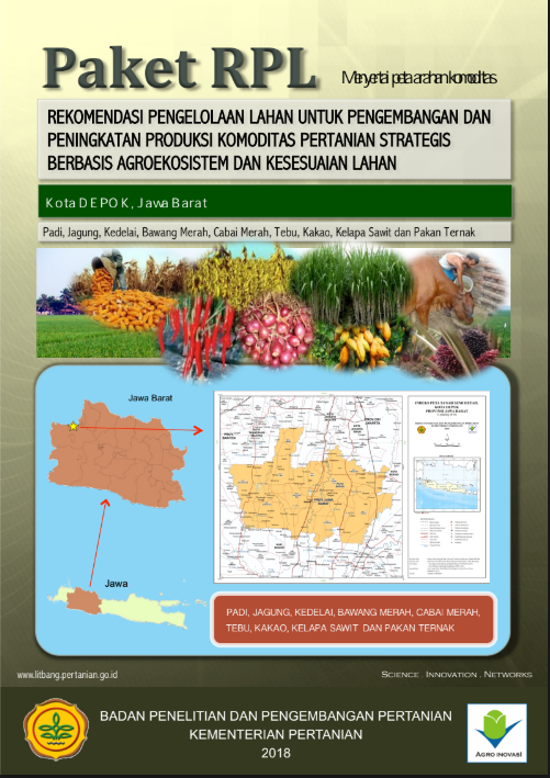 Cover Buku RPL Kota Depok