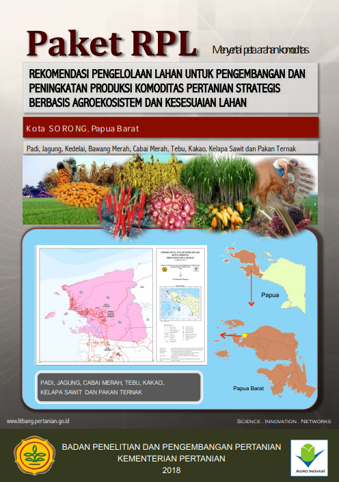 Cover Buku RPL Kota Sorong