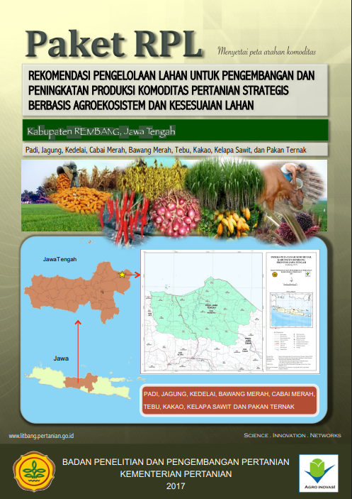 Cover Buku RPL Kabupaten Rembang