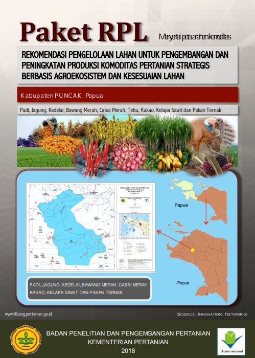 Cover Buku RPL Kabupaten Puncak