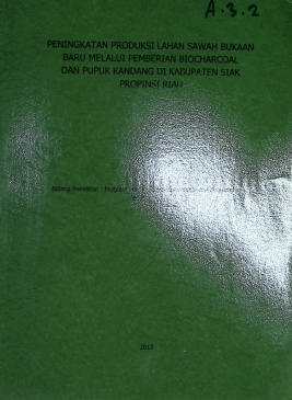 Cover PENINGKATAN PRODUKSI LAHAN SAWAH BUKAAN