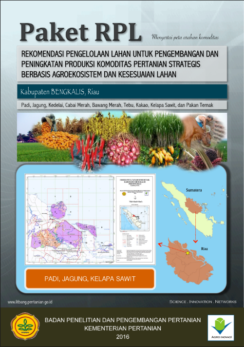 Cover Buku RPL BENGKALIS