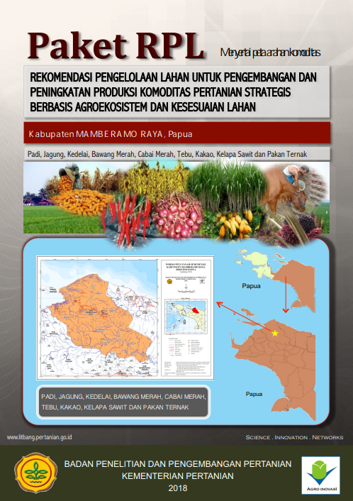 Cover Buku RPL Kabupaten Mamberano Raya